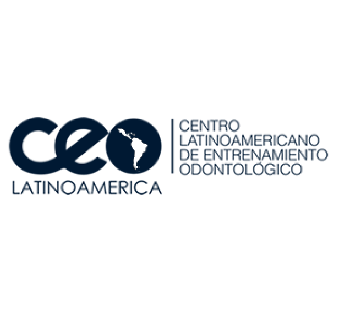 ceo latam