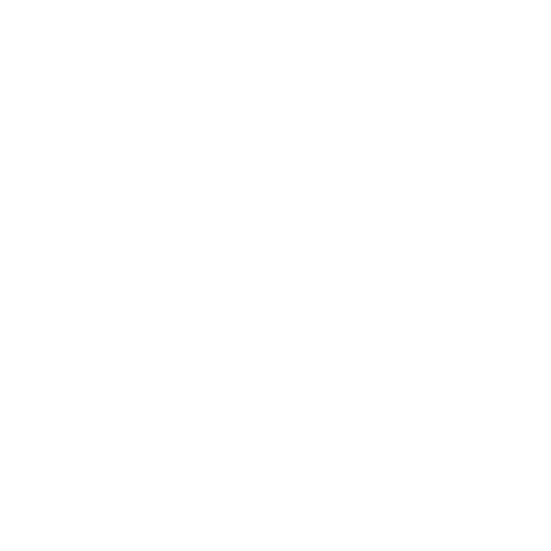 jaguar.webp